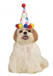 Rubies Boy Paw Print B'Day Hat Small-Medium