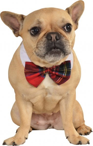 Rubies Plaid Pet Bowtie Small-Medium - Pets Perfect