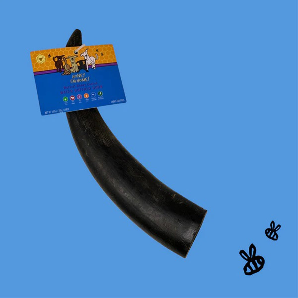 Honey I'm Home Dog Buffalo Horn Large 10-Count Bulk