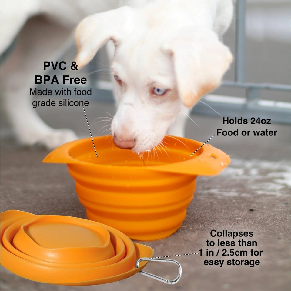 Kurgo Dog Collaps-A-Bowl Orange, view 3