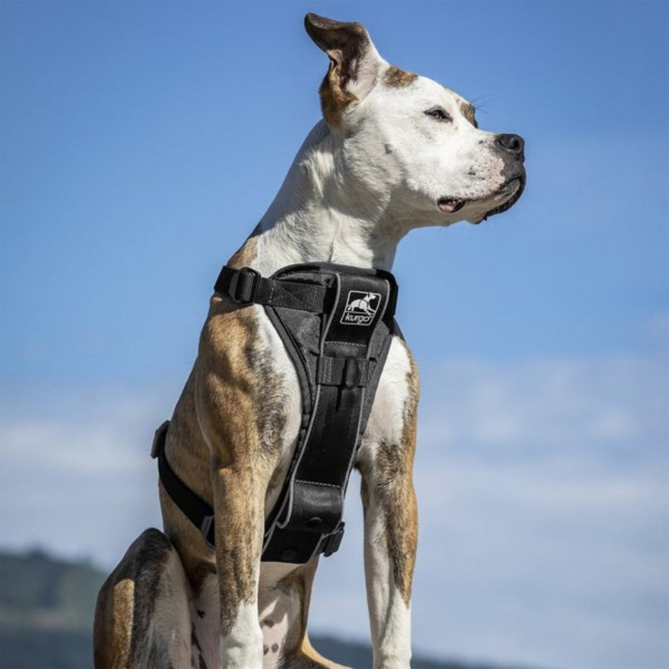 Kurgo Dog Tru Fit Dog Harness Quick Release Black Large, view 3
