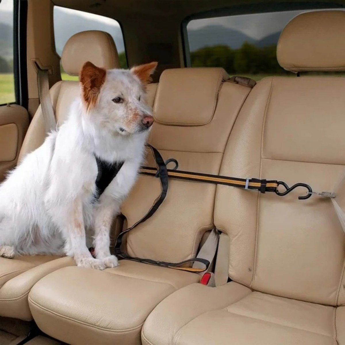 Kurgo Dog Auto Zip Line Leash Black - Pets Perfect