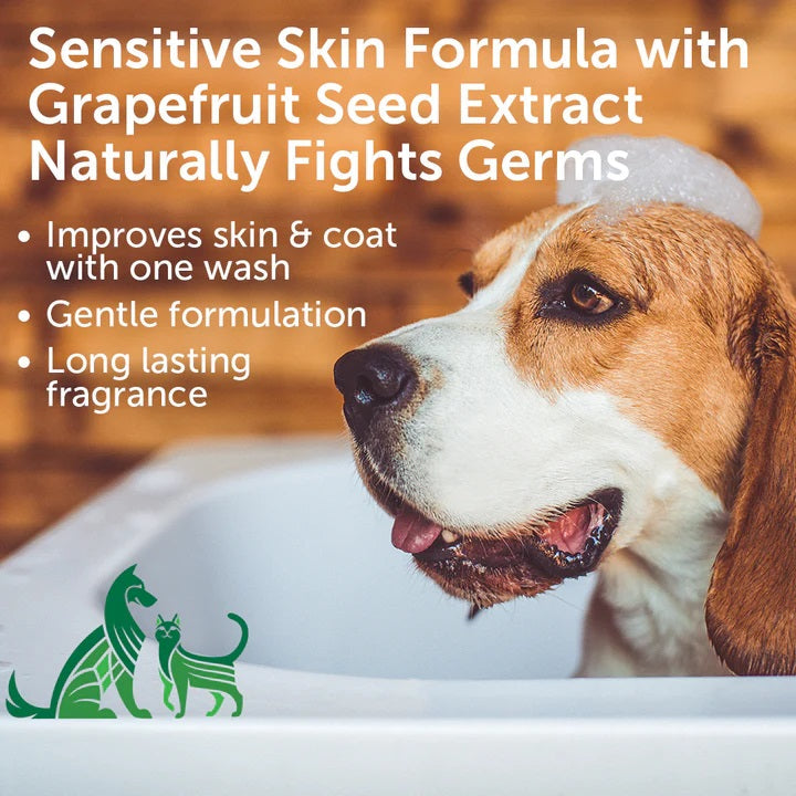 Nootie Dog Shampoo, 16 oz Coconut Lime Verbena