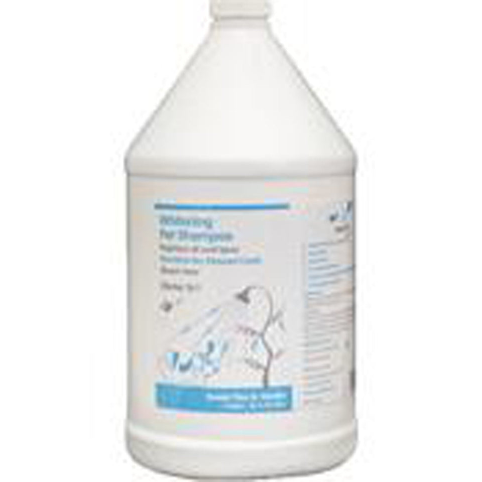 Nootie Dog Shampoo Whitening 1 gal