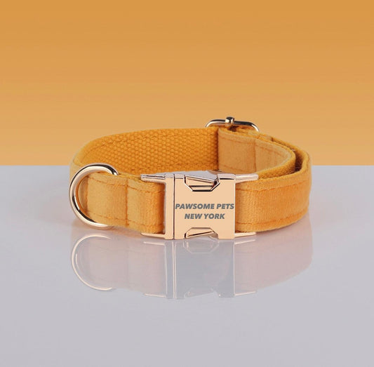 Pawsome Adjustable Nylon Dog Collar - Quick-Release Buckle for Dogs & Cats