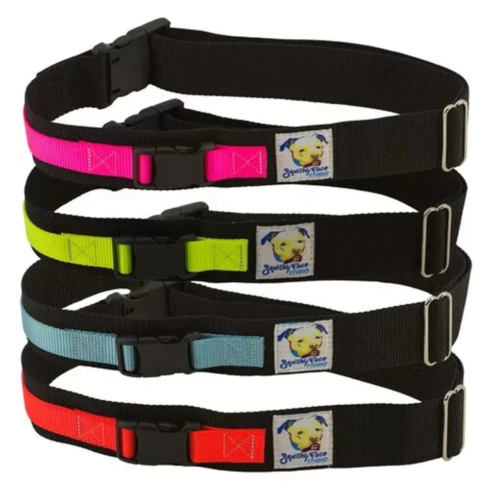 Hands-Free Dog Leash Belt, view 14