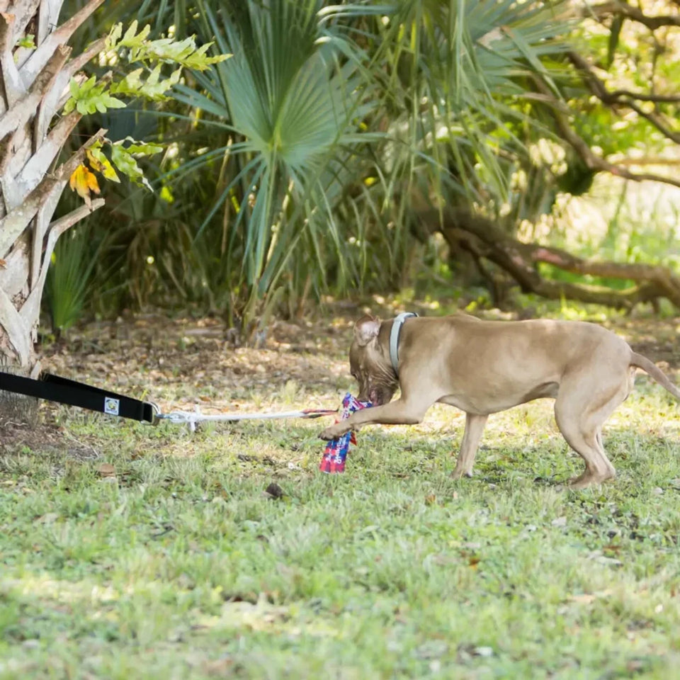 Super Tug Dog Toy, view 8