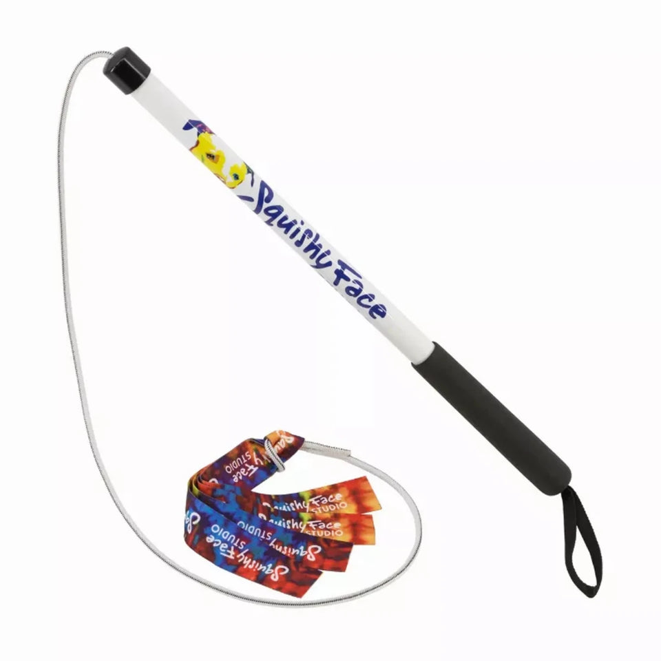 Flirt Pole V2 Dog Toy with Lure, Rainbow tie dye/JR, view 8