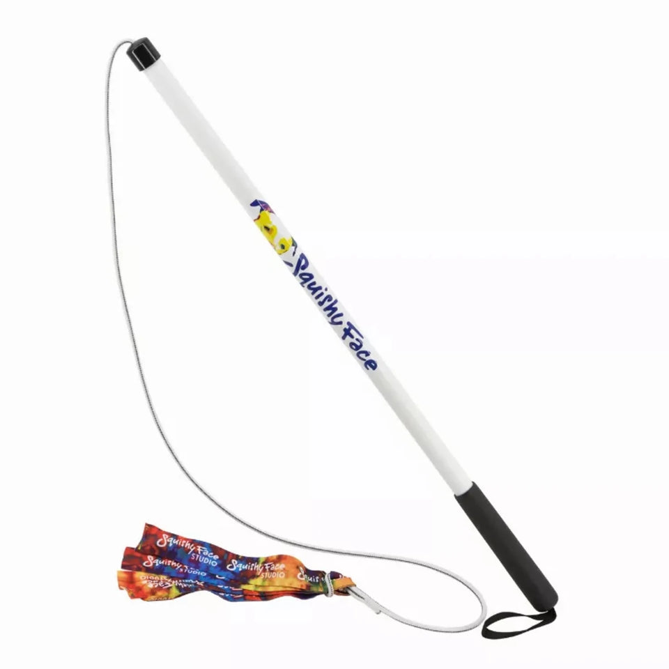Flirt Pole V2 Dog Toy with Lure, Purple/JR, view 5