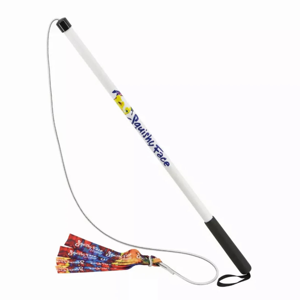 Flirt Pole V2 Dog Toy with Lure, Rainbow tie dye/REGULAR, view 4