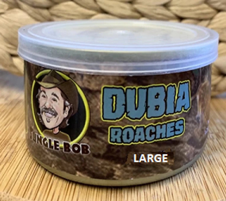 Jungle Bob Dubia Roaches in A Can Large 1.23 oz - 24 ct (Approx 25 ct) - Pets Perfect