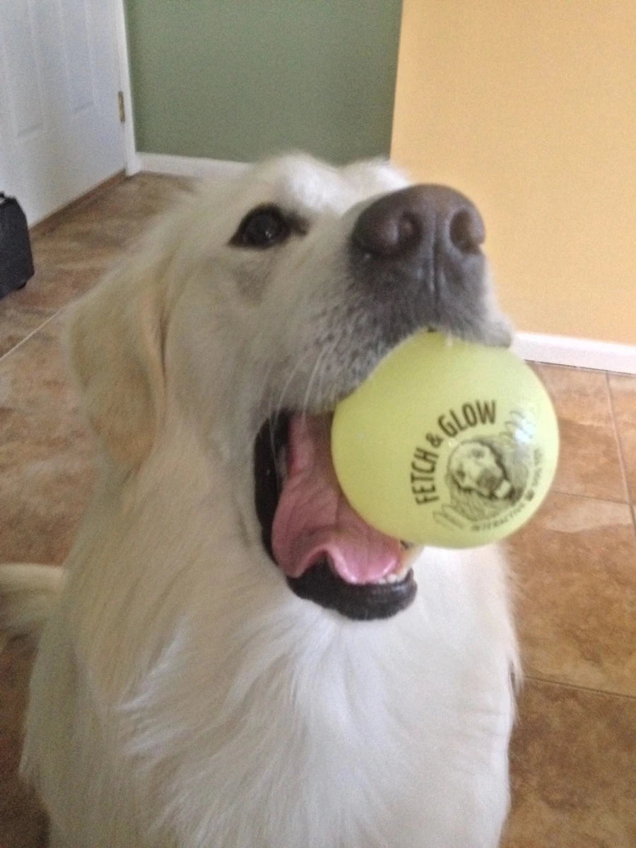 Fetch & Glow Balls - Pets Perfect