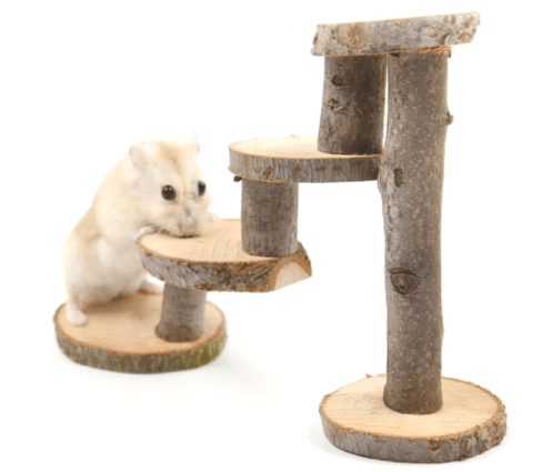 Wooden Apple Wood Hamster Climbing Ladder Toy.