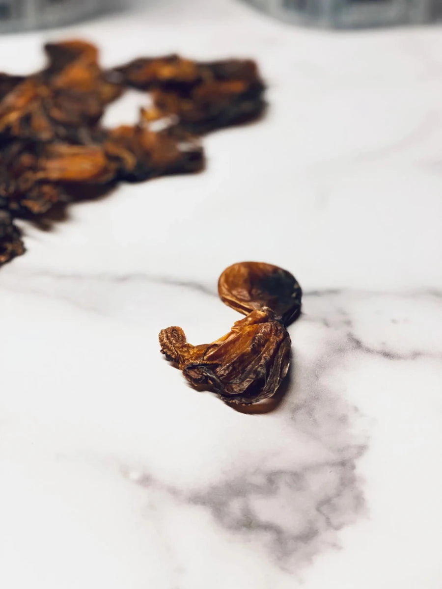 Mosaic Wild-Caught Octopus Whole-Muscle Jerky Dog Treats 1.5 oz - Pets Perfect