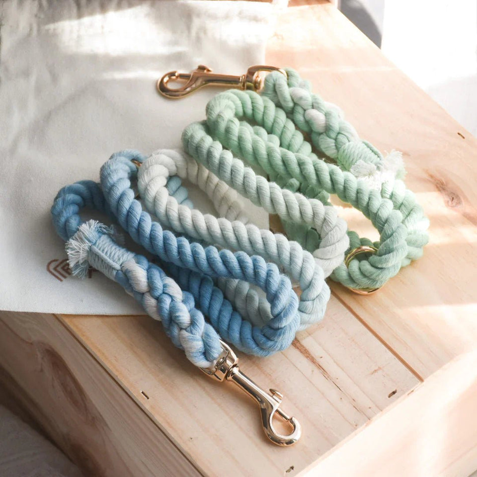Hands-Free Dog Rope Dog Leash - Ocean Wave