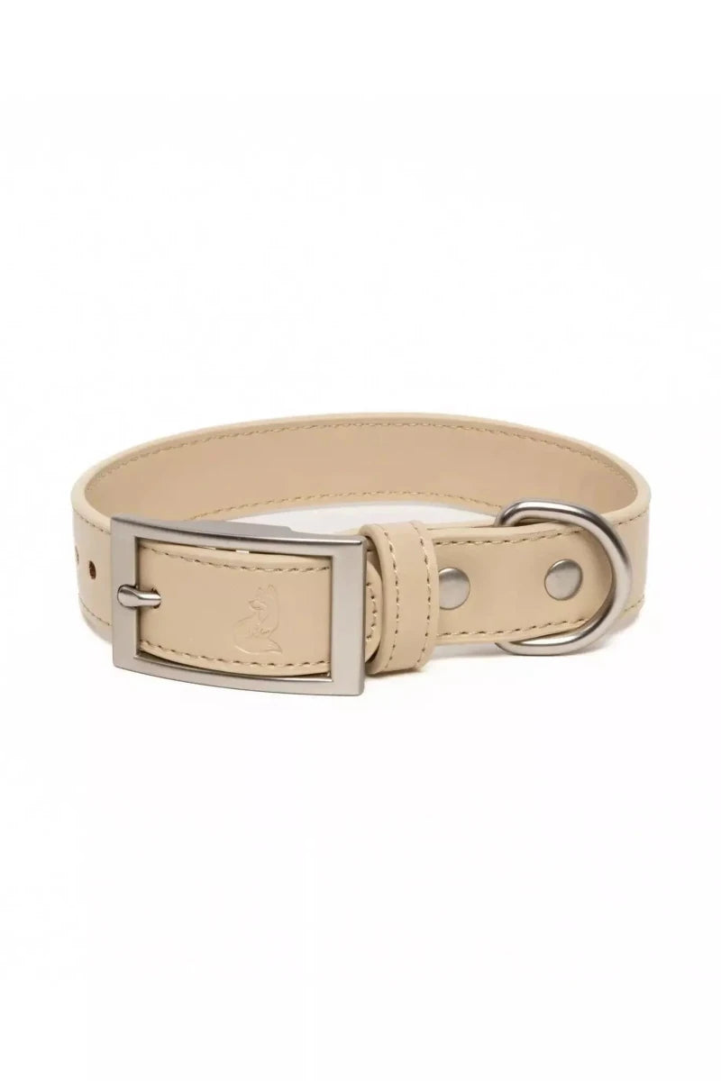 Vegan Leather Dog Collar - Champagne Fizz Design, 11 - 13