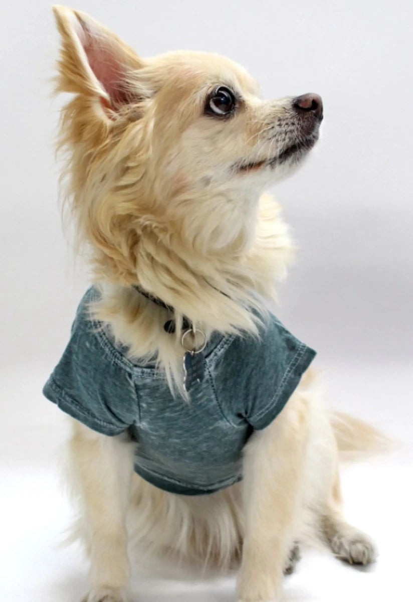 COIN1804 Doggy Tee - Burnout Wash Pet Shirt for Dogs & Cats - Pets Perfect