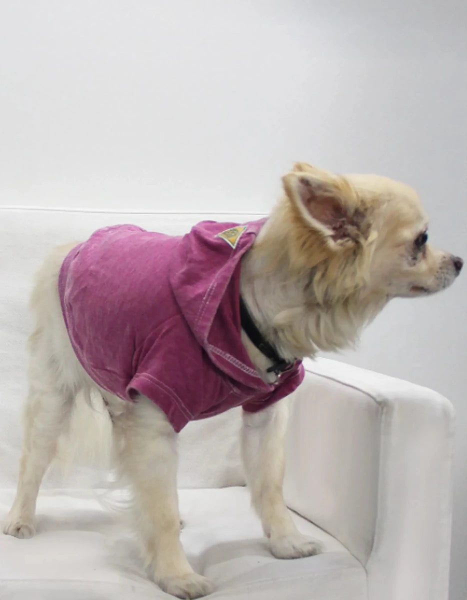 Doggy Hoodie French Terry - Outer Stitch Detail for Dogs and Cats - Pets Perfect