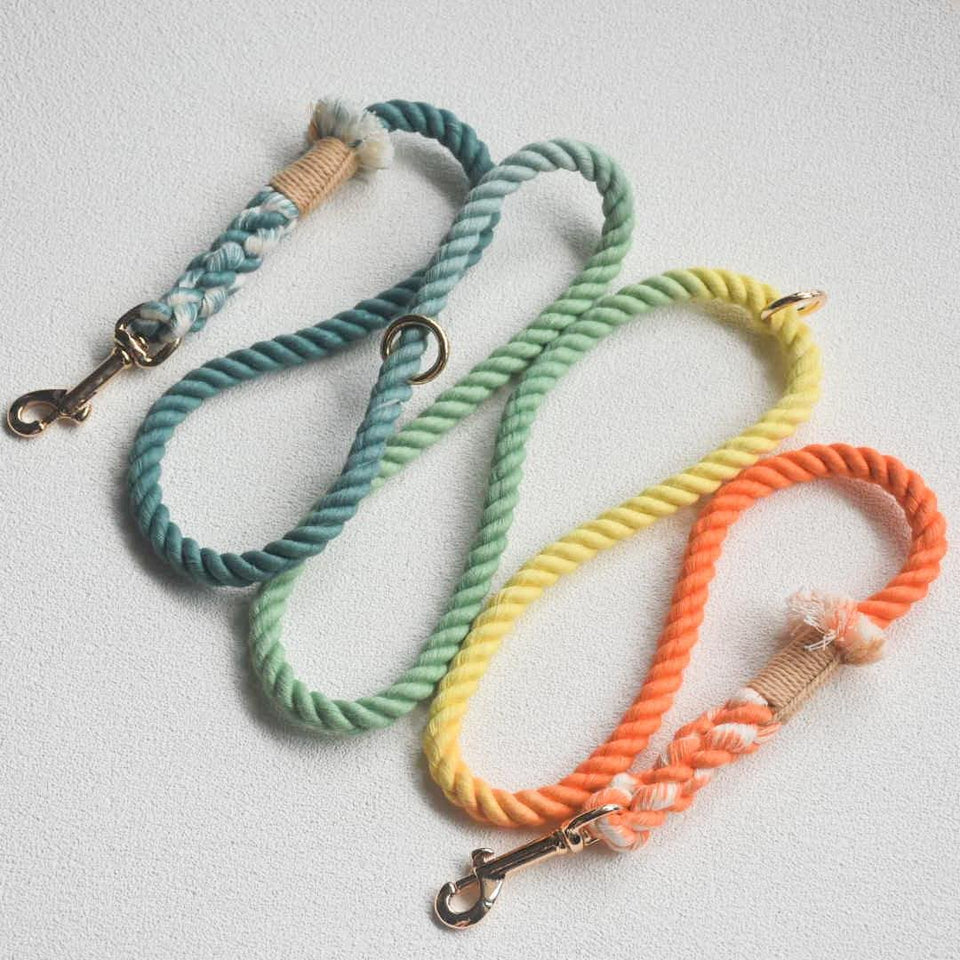Hands-Free Dog Rope Dog Leash - Forest Shade