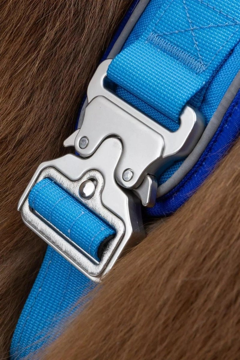 Aria the Fox Dockside Adventures No-Pull Dog Harness, Ultimate Comfort, Candy Blue / Ultramarine/Large, view 3