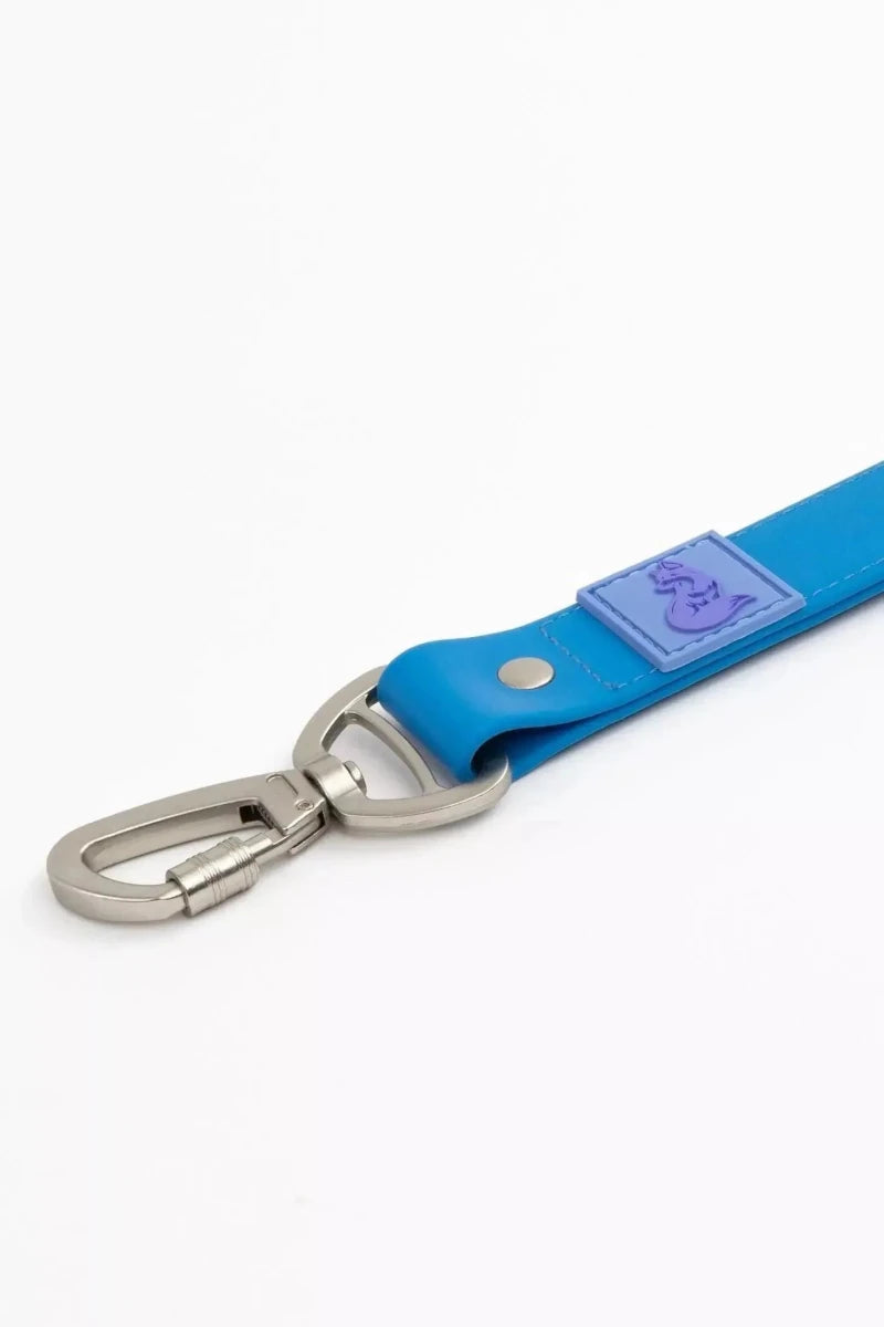 Dockside Adventures Waterproof Dog Leash, Candy Blue / Ultramarine