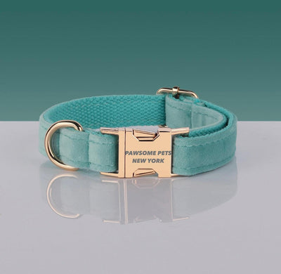 Pawsome Pets Adj. Nylon Dog Collar #21, XS