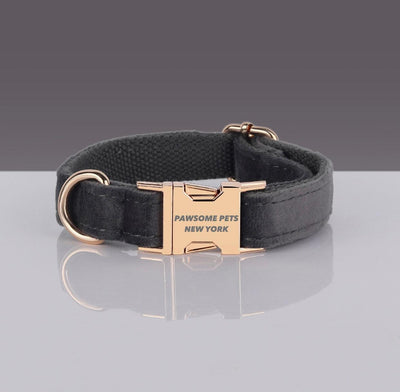 Pawsome Adj. Nylon Dog Collar - Quick-Release Buckle for Dogs & Cats, XS