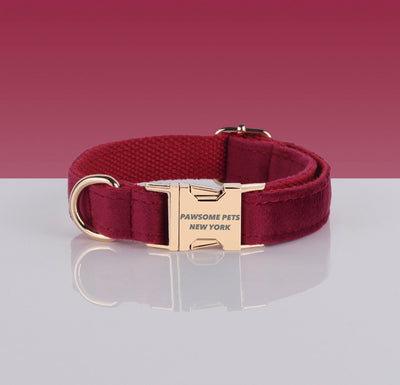 Pawsome Adjustable Nylon Dog Collar, Quick-Release Buckle for Dogs & Cats