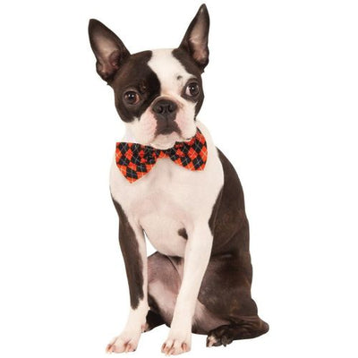 Rubies Halloween Argyle Bowtie Small-Medium