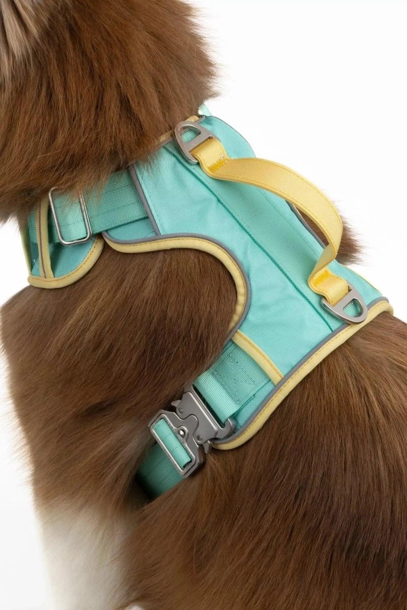 Island Vibes Ultimate Dog Harness, Aqua / Sunshine Yellow/XL, view 4