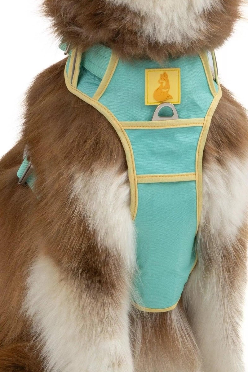 Island Vibes Ultimate Dog Harness, Aqua / Sunshine Yellow/Medium, view 2
