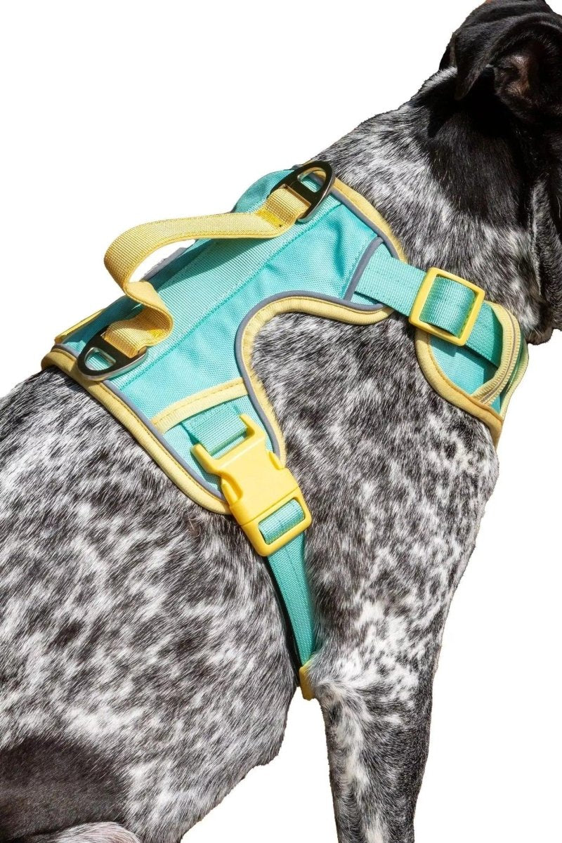 Island Vibes Ultimate Dog Harness, Aqua / Sunshine Yellow/Large, view 3