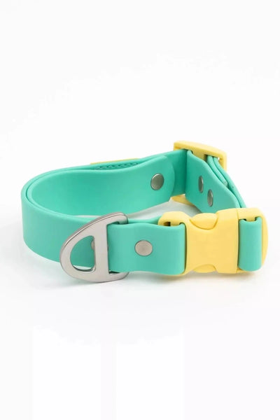 Island Vibes Waterproof Dog Collar, Aqua / Sunshine Yellow/11 - 13