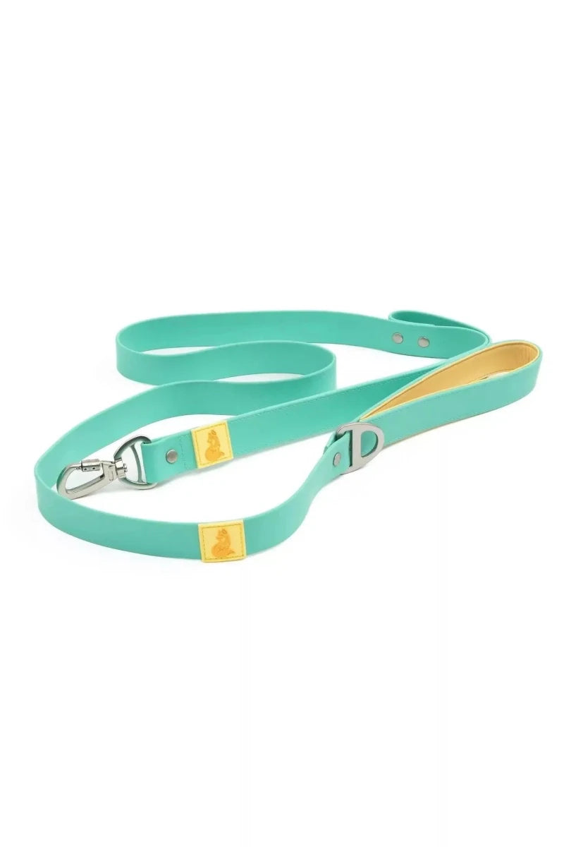 Island Vibes Waterproof Dog Leash, Aqua / Sunshine Yellow
