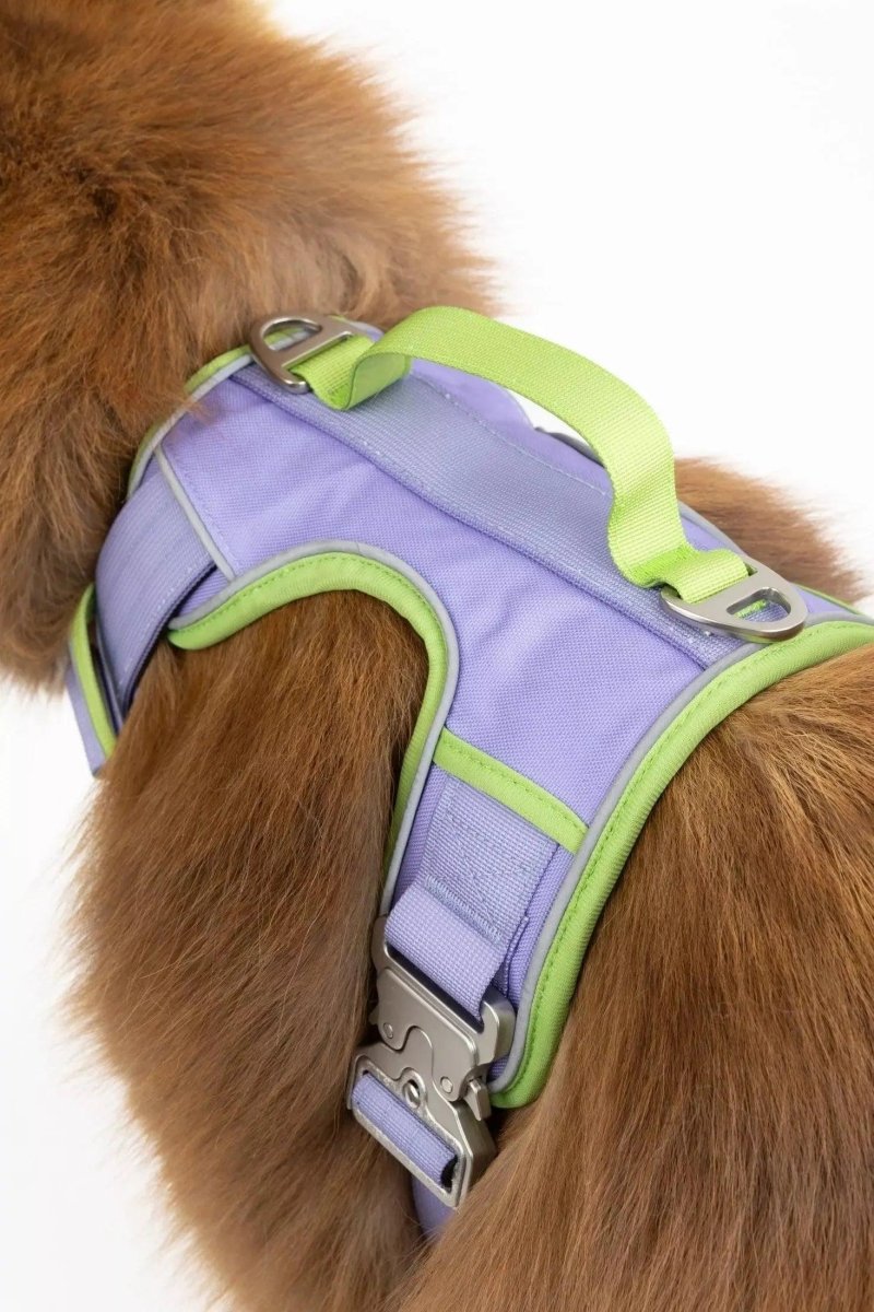 Aria the Fox Lavender Garden No-Pull Dog Harness - Elegant Comfort, Lavender / Meadow Green/XL, view 4