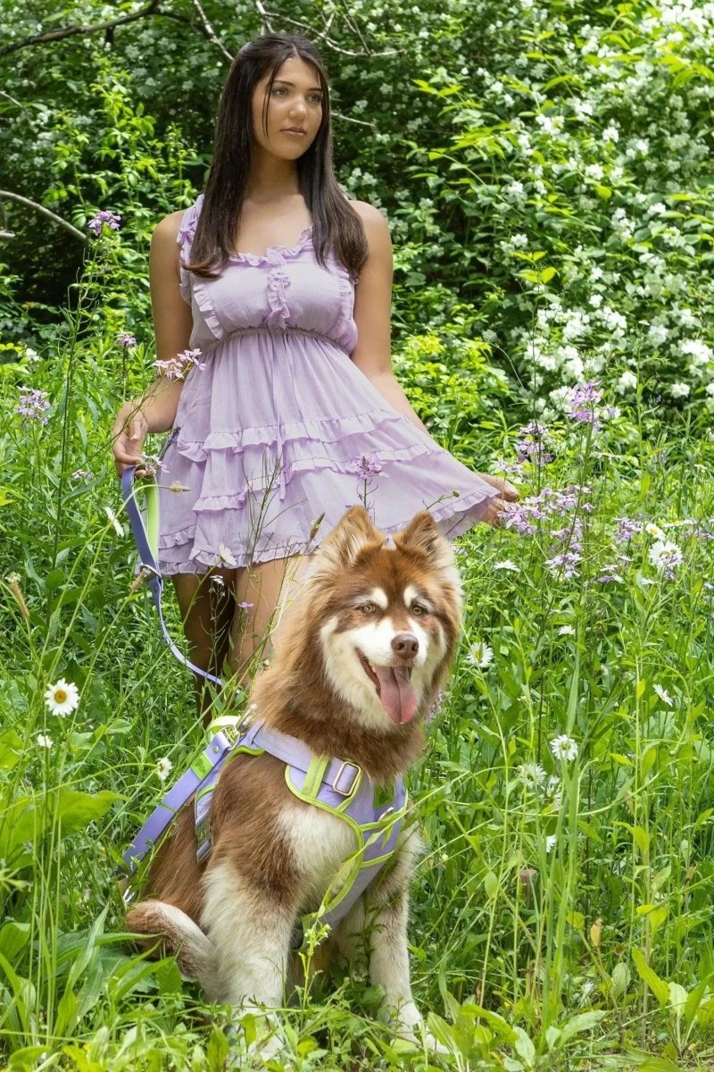 Aria the Fox Lavender Garden No-Pull Dog Harness - Elegant Comfort, view 6