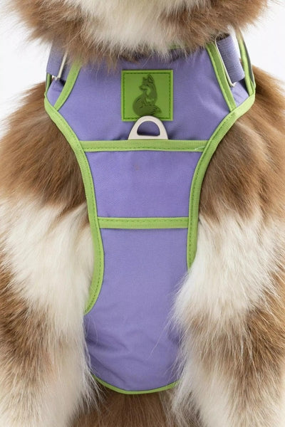 Aria the Fox Lavender Garden No-Pull Dog Harness - Elegant Comfort, Lavender / Meadow Green/Small