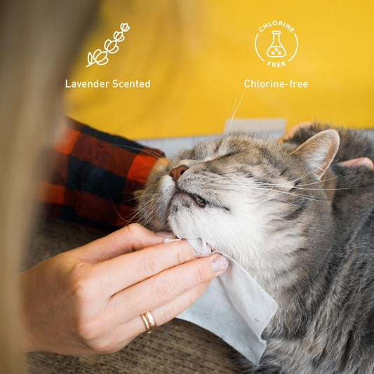 Pet Care Bundle: Furry Fresh Lavender Pet Wipes & Rechargeable Pet Hair Trimmer – Complete Grooming and Hygiene Kit for Dogs and Cats