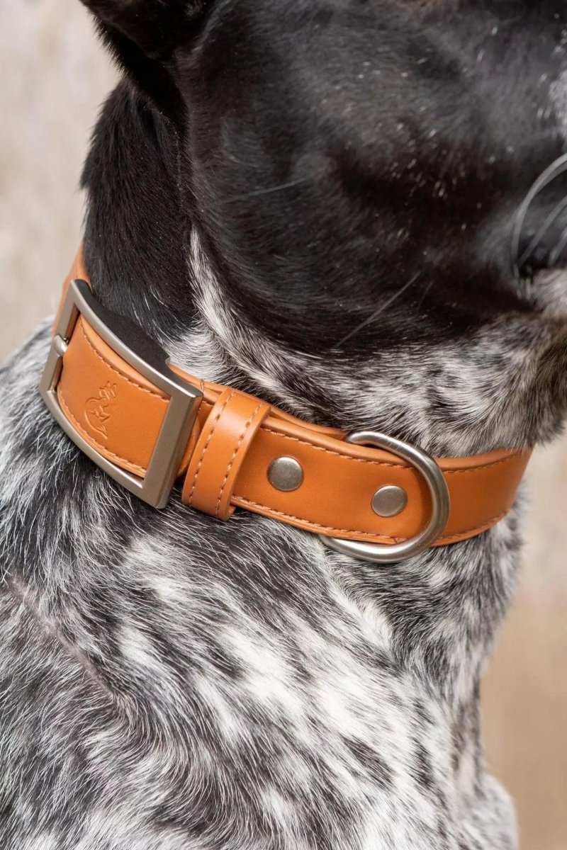 Vegan Leather Dog Collar - Sierra Sunrise Design, Sequoia/13 - 15, view 2