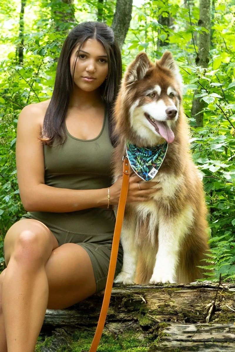 Vegan Leather Dog Collar - Sierra Sunrise Design, Sequoia/15 - 19, view 3