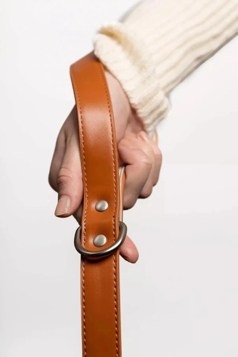 Sierra Sunrise Vegan Leather Dog Leash, view 3