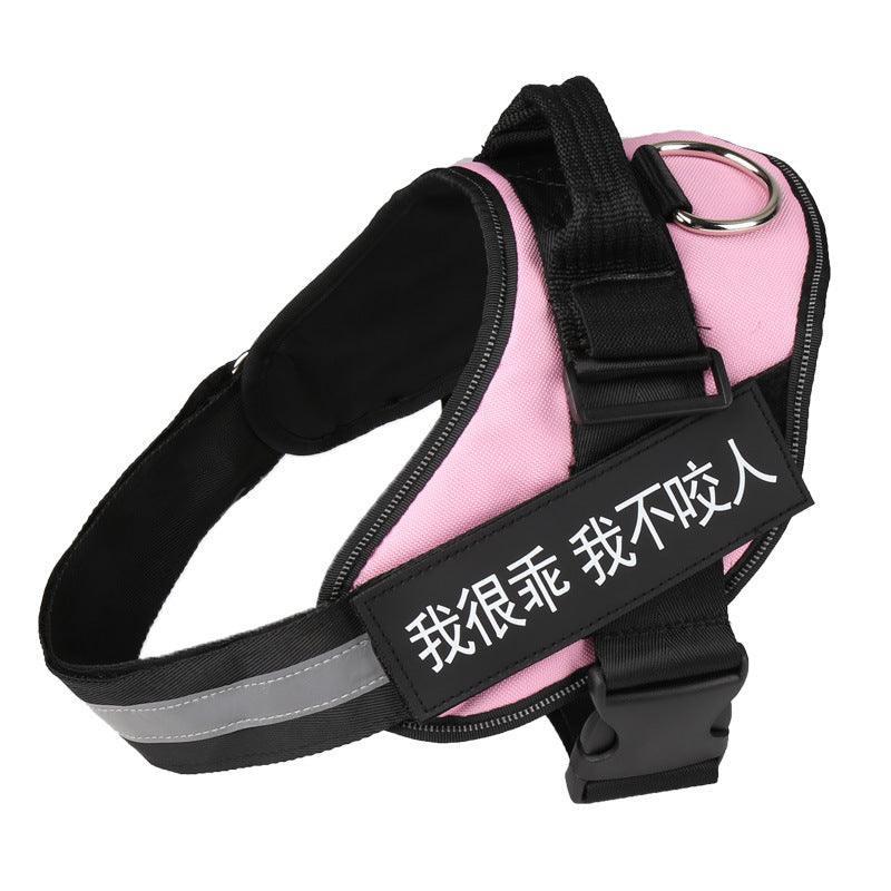 Ultimate Pet Adventure Chest Harness And Leash Set - Pets Perfect
