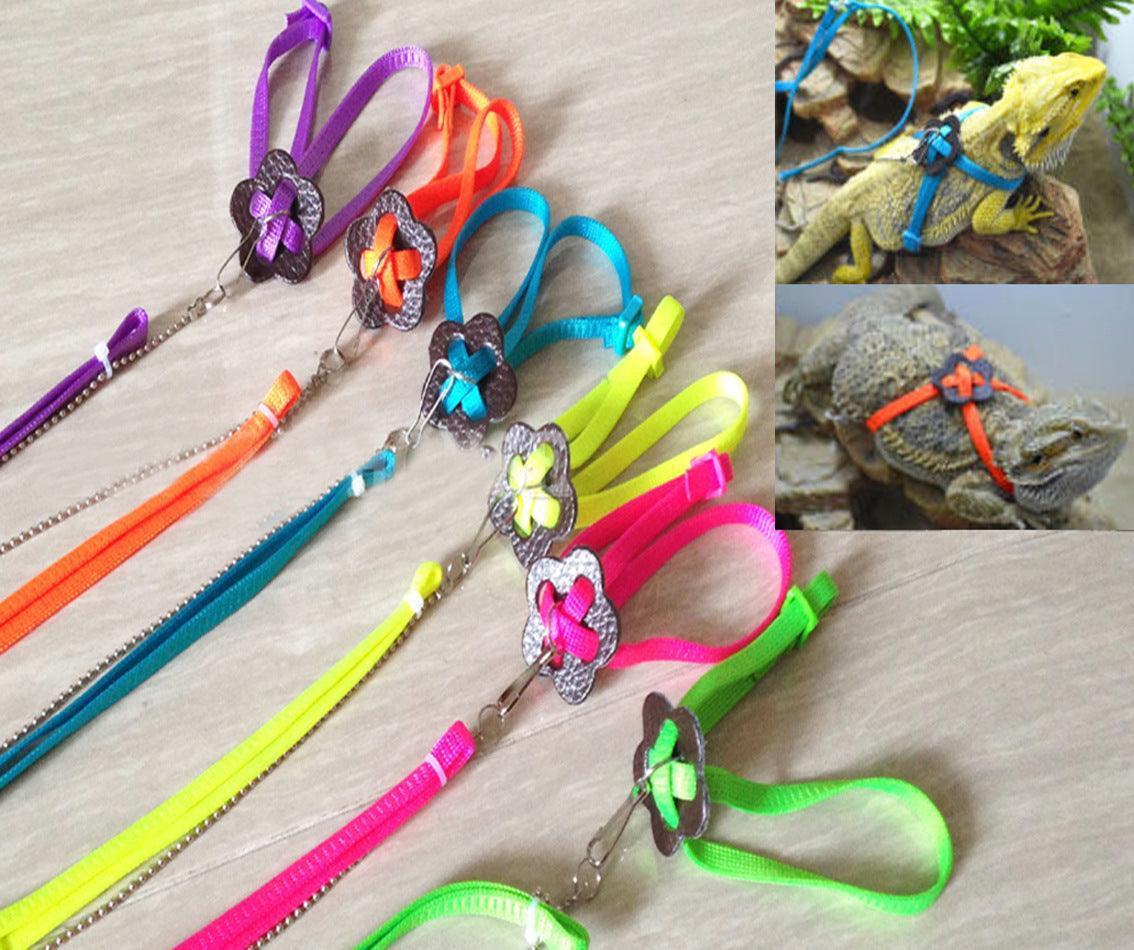 Adjustable Outdoor Lizard Leash - Stylish And Durable Pet Walking Rope.