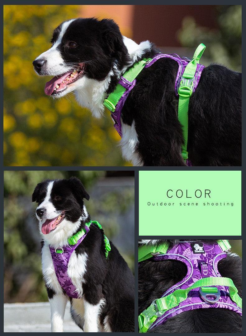 All-Purpose Dog Leash And Vest Set