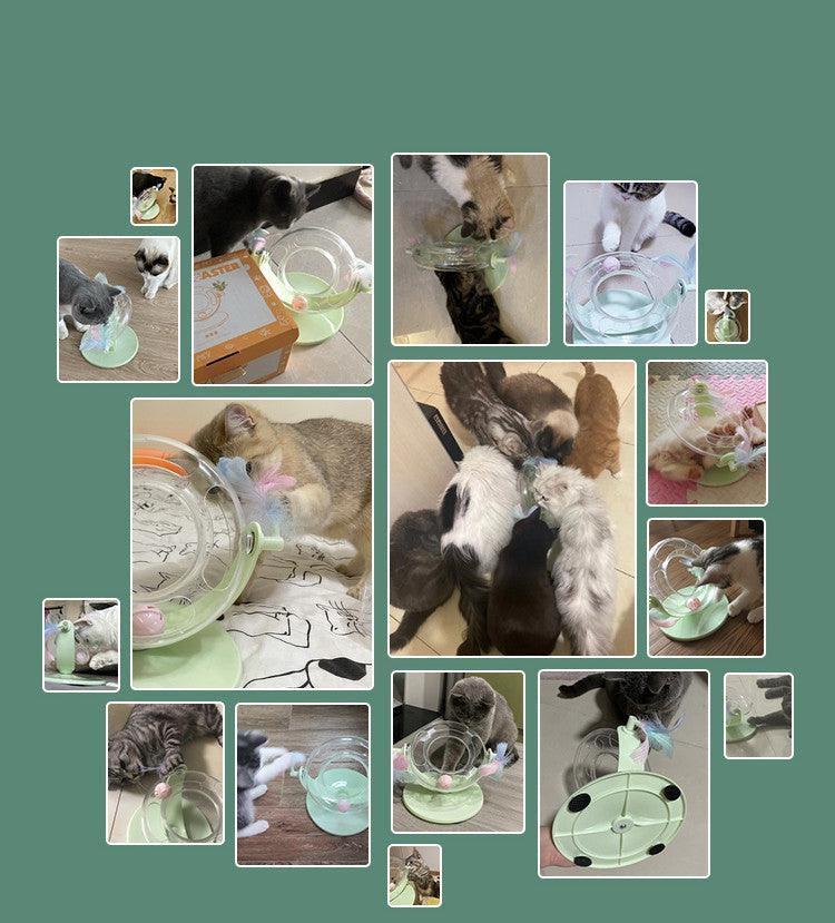 Automatic Self - Healing Cat Toy: Endless Fun And Boredom Relief - Pets Perfect