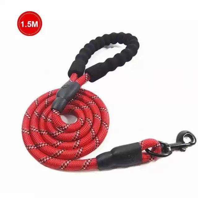 Luminous Reflective Strong Dog Leash - Pets Perfect