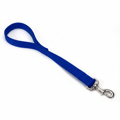 Coastal DoublePly Nylon Traffic Dog Leash Blue, 1 in x 24 in