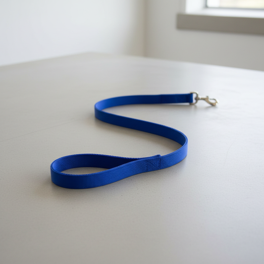 Blue Dog Leash - Minimal Setting