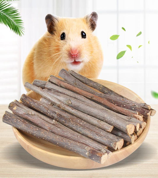 Wooden Bunny Bites: Natural Branch Chewing Snacks For Small Pets.
