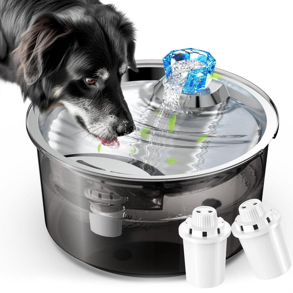 LESOTC 2.6-Gallon Stainless Steel Dog & Cat Water Fountain - 10 Large, view 4